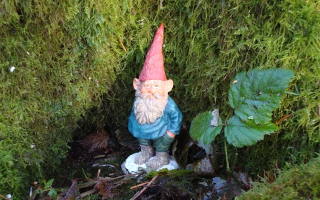 Tree Frog Farm | 3679 Sunrise Rd, Lummi Island, WA 98262, USA | Phone: (360) 758-7260