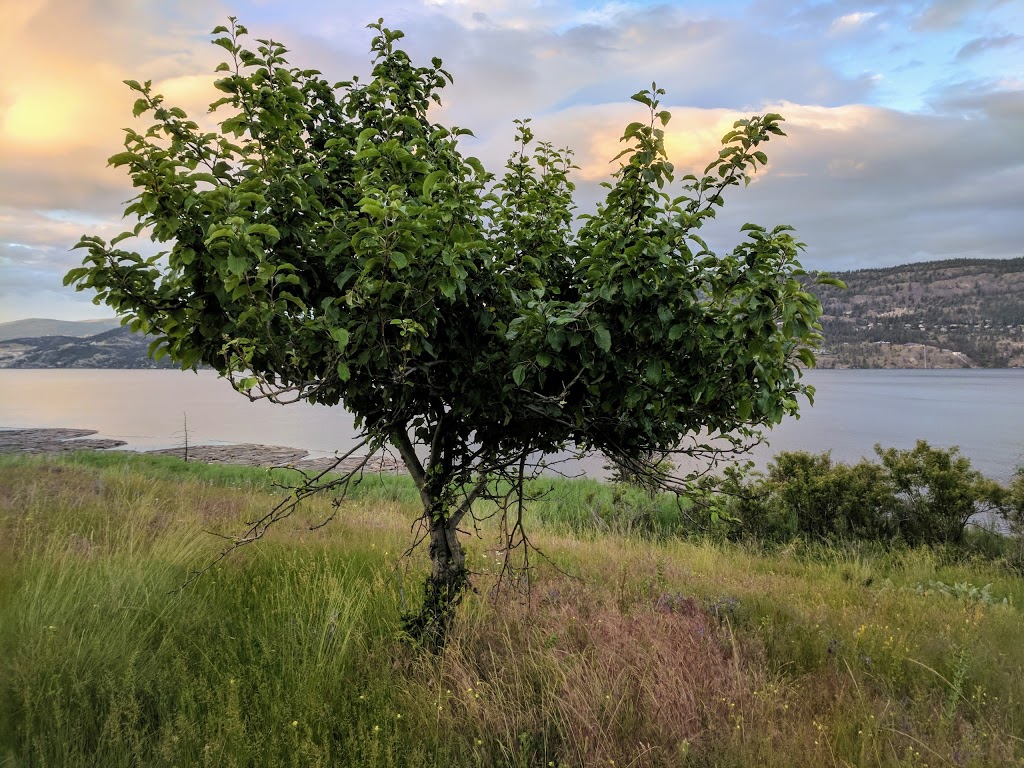 Traders Cove Regional Park | Central Okanagan G, BC V1Z 3S3, Canada | Phone: (250) 763-4918