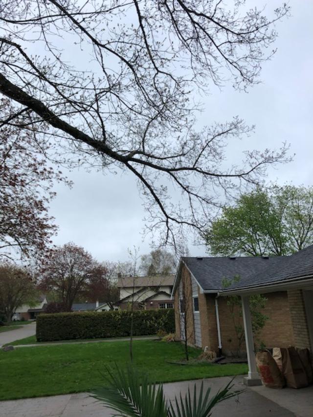 Davey Tree Expert Co. of Canada, Limited | 641 Wright St, Strathroy, ON N7G 3H8, Canada | Phone: (519) 245-1019