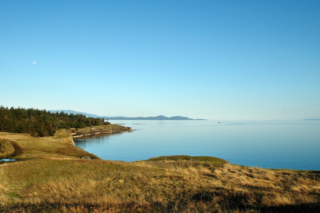 Royal LePage Hornby | 5875 Central Rd, Hornby Island, BC V0R 1Z0, Canada | Phone: (250) 335-1720