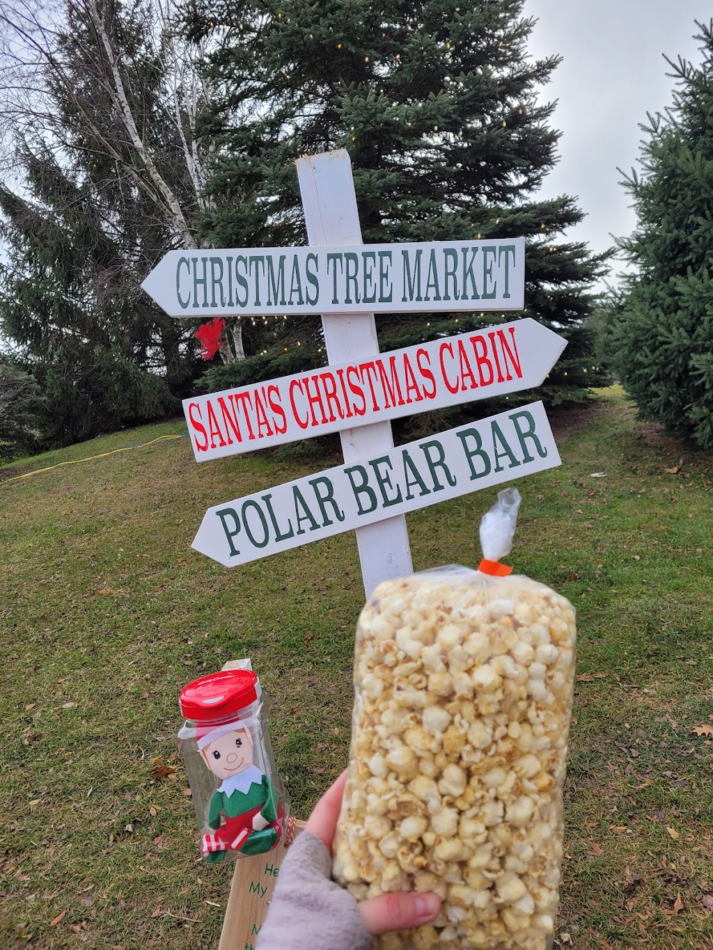 Holiday in the Hills | 10500 Russell Rd, Port Perry, ON L9L 1B3, Canada | Phone: (905) 985-2760