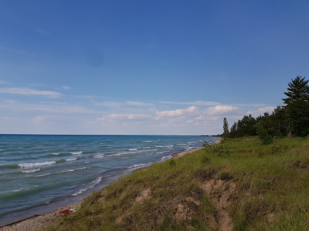 Pinery Provincal Park Dog Beach Area 1 | Lambton Shores, ON N0M 1T0, Canada