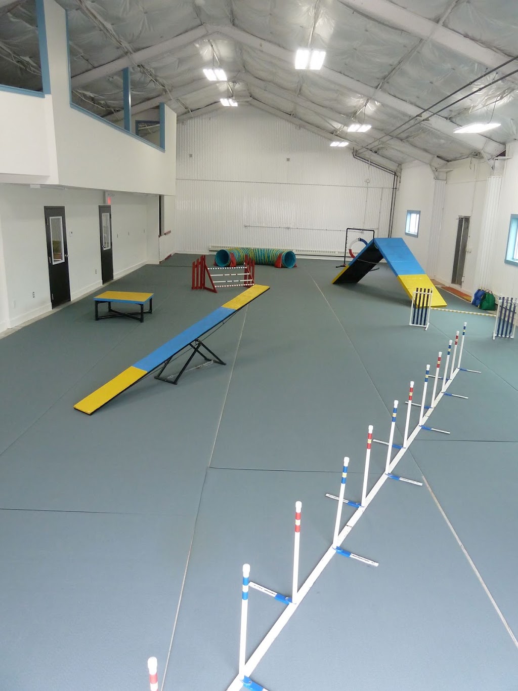 Nova Dogsport | 31 Weavers Lake Dr, Harrietsfield, NS B3V 1A4, Canada | Phone: (902) 402-4127