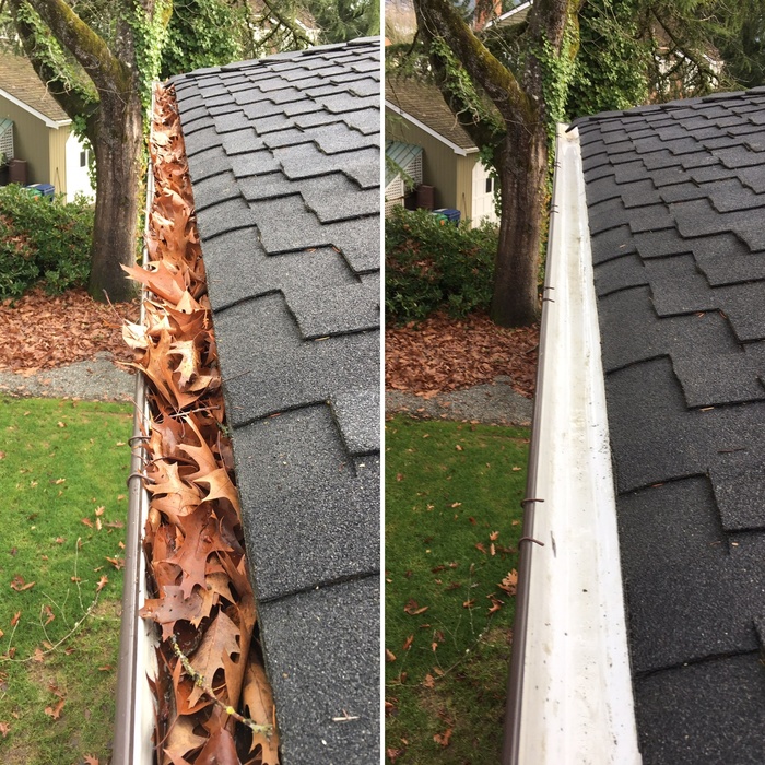 Dirty Gutter Boyz | 24 Hunter Crescent, Tillsonburg, ON N4G 5M8, Canada | Phone: (519) 403-4199