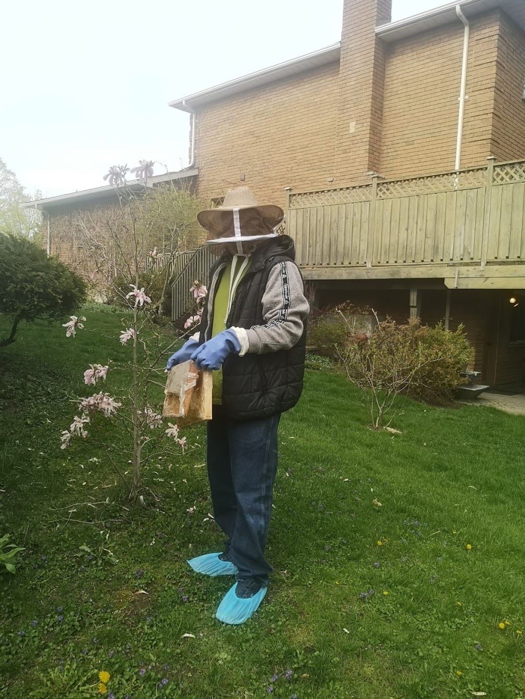 Eco-Friendly Pest Control Inc | 64 Parkview Heights, Trenton, ON K8V 6P5, Canada | Phone: (647) 525-6311