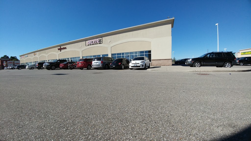 Ardene | 451 Norwich Ave, Woodstock, ON N4S 3W4, Canada | Phone: (226) 242-2608
