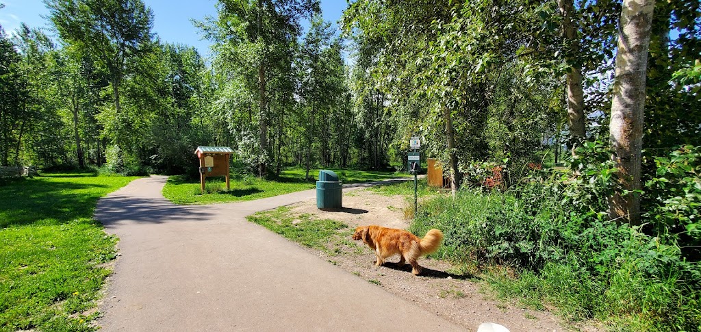 Railyard Dog Park | 95 Ridgemont Ave, Fernie, BC V0B 1M0, Canada | Phone: (778) 509-0701