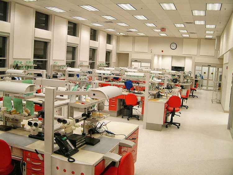 Image Dental Laboratory Ltd | 33 Quarry Ridge Rd, Barrie, ON L4M 7G1, Canada | Phone: (705) 726-6301