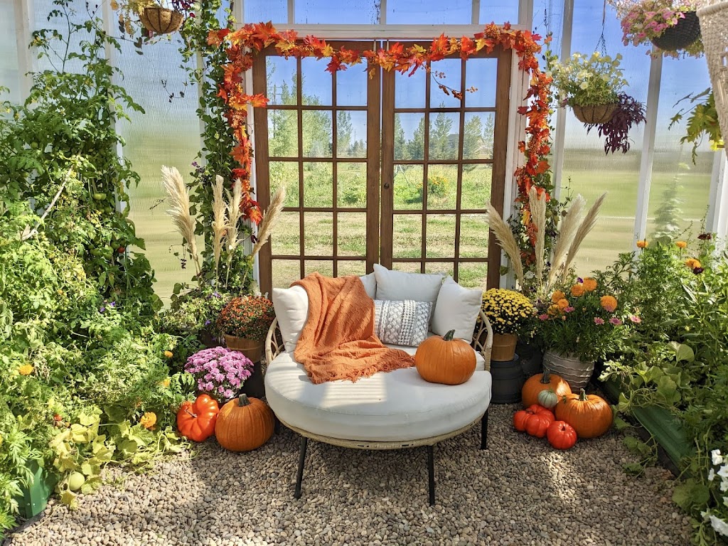Wildflower Greenhouse Studio | 182042 Rge Rd, 182024 Range Rd 142 #142, Newell County No. 4, AB T1R 1C6, Canada | Phone: (403) 376-2085