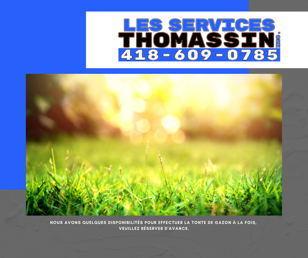 LES SERVICES THOMASSIN INC. | 1099 Rue Carr Laroche, Val-Alain, QC G0S 3H0, Canada | Phone: (418) 609-0785