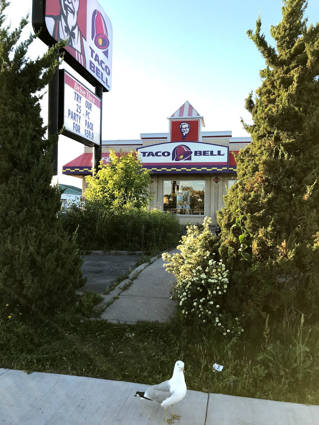 KFC | 668 Bath Rd, Kingston, ON K7M 4X9, Canada | Phone: (613) 389-5393