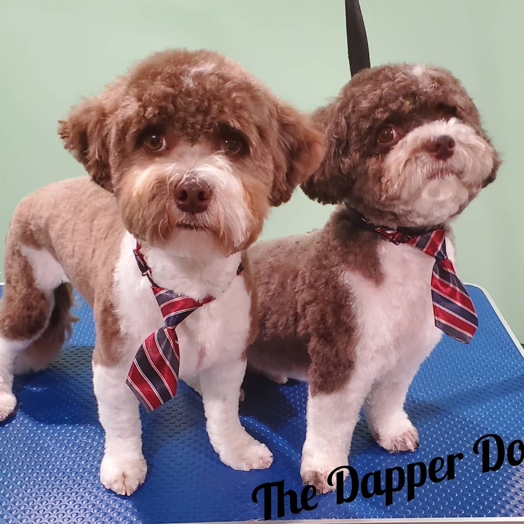 The Dapper Dog | 377 Campbell Dr, Arnprior, ON K7S 3G8, Canada | Phone: (613) 899-1771
