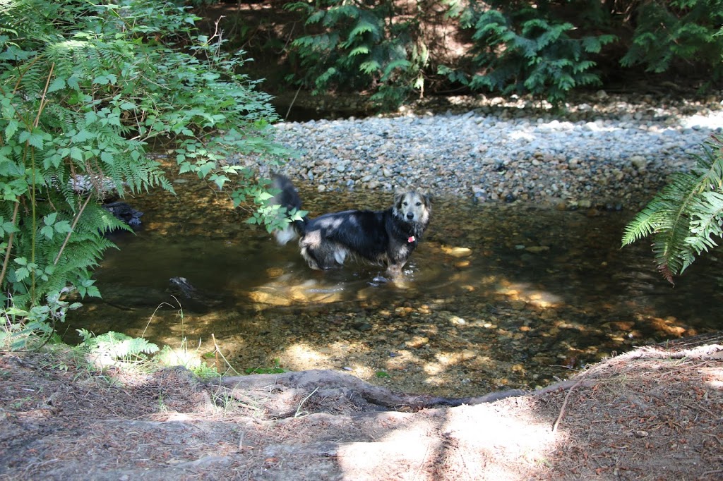 Creekside Campground | 4314 Sunshine Coast Hwy, Sechelt, BC V0N 3A1, Canada | Phone: (604) 885-5937