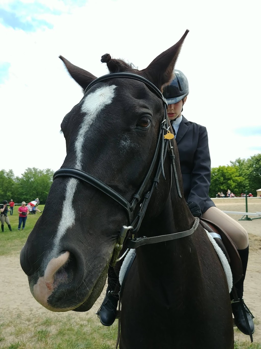 The Hamilton Hunt and Equestrian Sport Club | Brant, 7 County Rd 22, Caledonia, ON N3W 2G9, Canada | Phone: (905) 512-9177