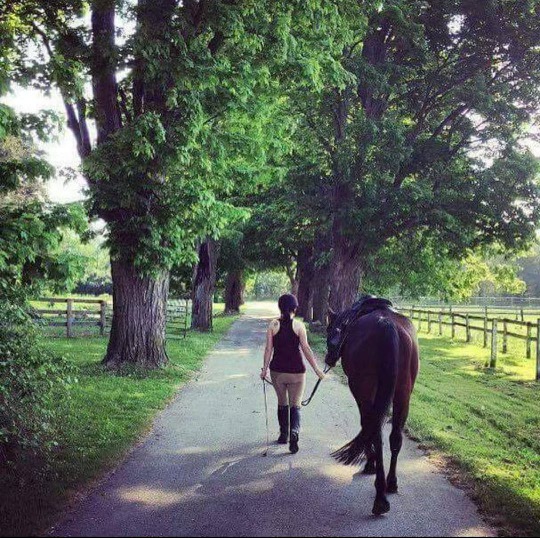 Piccadilly Acres Farm | 3706 Rundle Rd, Bowmanville, ON L1C 3K4, Canada | Phone: (905) 243-0488