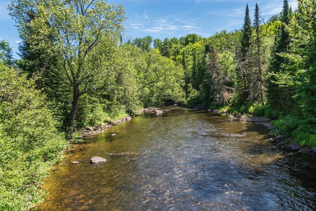 The Gut Conservation Area | 2399 The South Rd, Coe Hill, ON K0L 1P0, Canada | Phone: (613) 472-3137