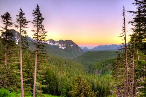 Bellingham Lodge | 101 N Samish Way, Bellingham, WA 98225, USA | Phone: (360) 733-8280
