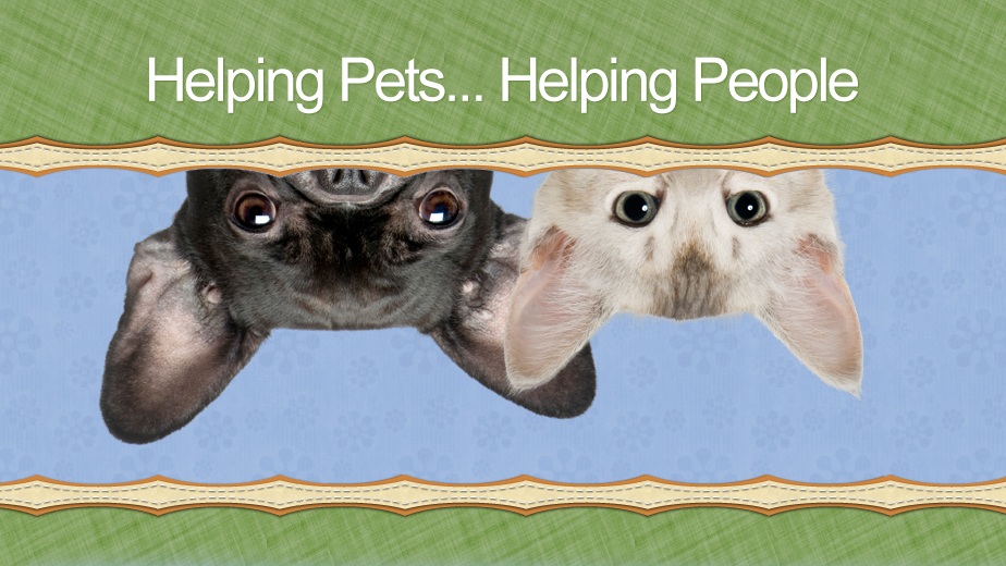 Clarington Animal Hospital | 2727 Courtice Rd, Courtice, ON L1E 3A2, Canada | Phone: (905) 404-2030