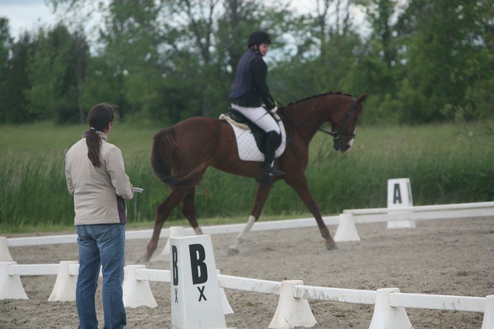 Cause For Applause Farm | 169 Line Rd 5, Warsaw, ON K0L 3A0, Canada | Phone: (705) 750-8871