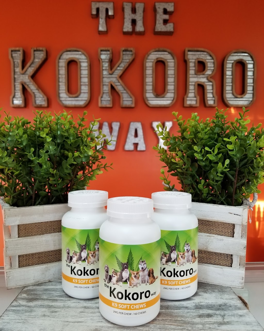 The Kokoro Way | 712 Main St, East Aurora, NY 14052, USA | Phone: (716) 930-4073
