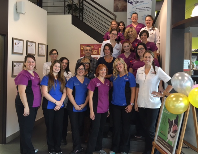 Veterinary Hospital Inc. Roussillon. | 5022 QC-132, Sainte-Catherine, QC J5C 1L8, Canada | Phone: (450) 638-1825