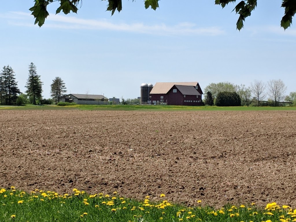 Friends of the Farm | Civic Hospital - Experimental Farm - Central Park, Ottawa, ON K2C 3R6, Canada | Phone: (613) 230-3276