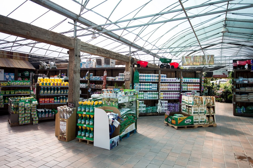 Cedar Rim Nursery Ltd | 7024 Glover Rd, Langley Twp, BC V2Y 2R1, Canada | Phone: (604) 888-4491