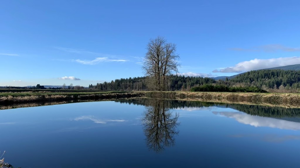 Pitt Meadows Paddling Club | 14411 Harris Rd, Pitt Meadows, BC V3Y 2T2, Canada | Phone: (778) 847-7672