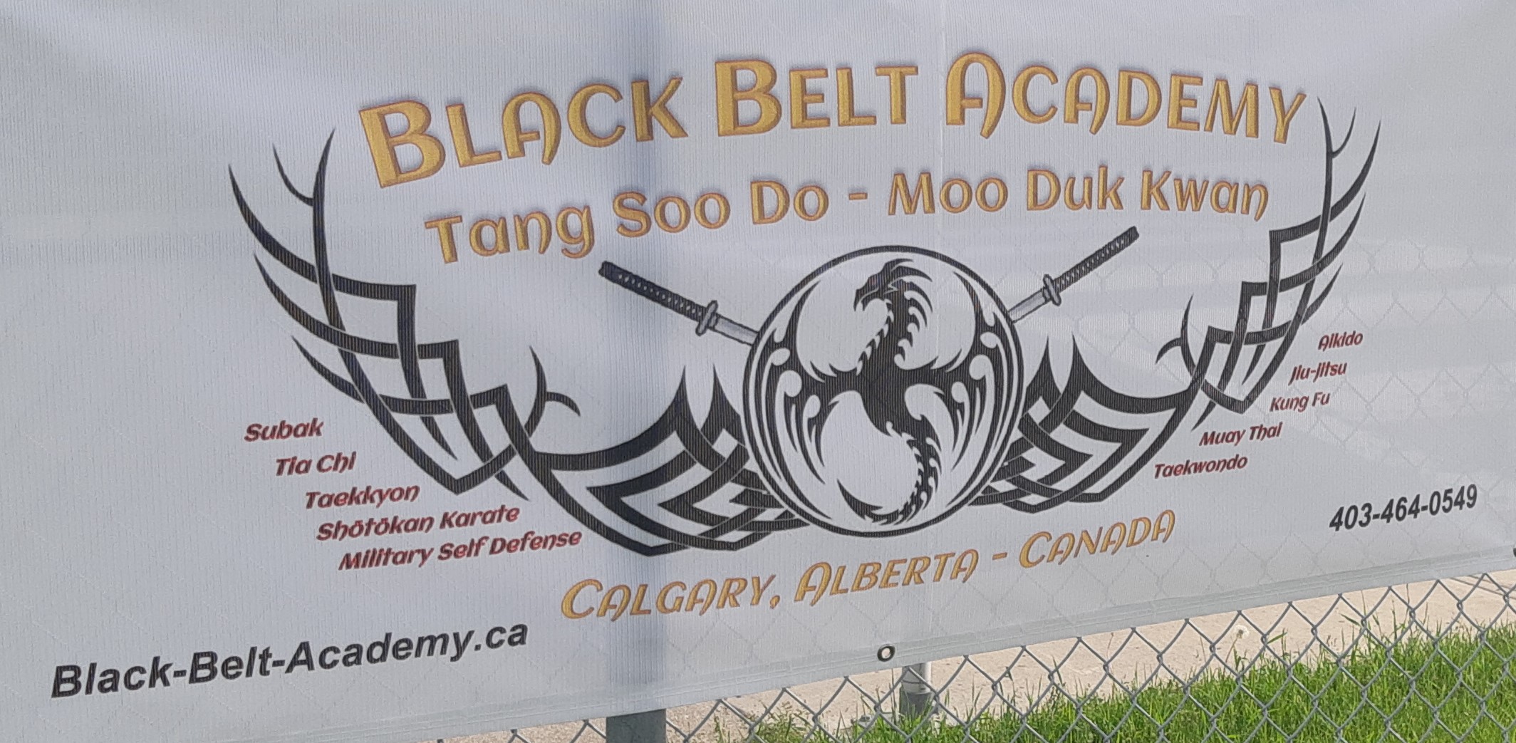 Black Belt Academy | 390 Northmount Dr NW, Calgary, AB T2K 3H4, Canada | Phone: (403) 464-0549