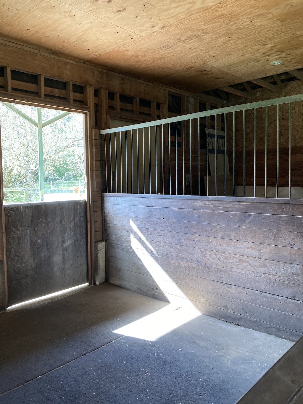 Casey and Finnigans | 5061 Grouhel Rd, Ladysmith, BC V9G 1J5, Canada | Phone: (250) 857-3584