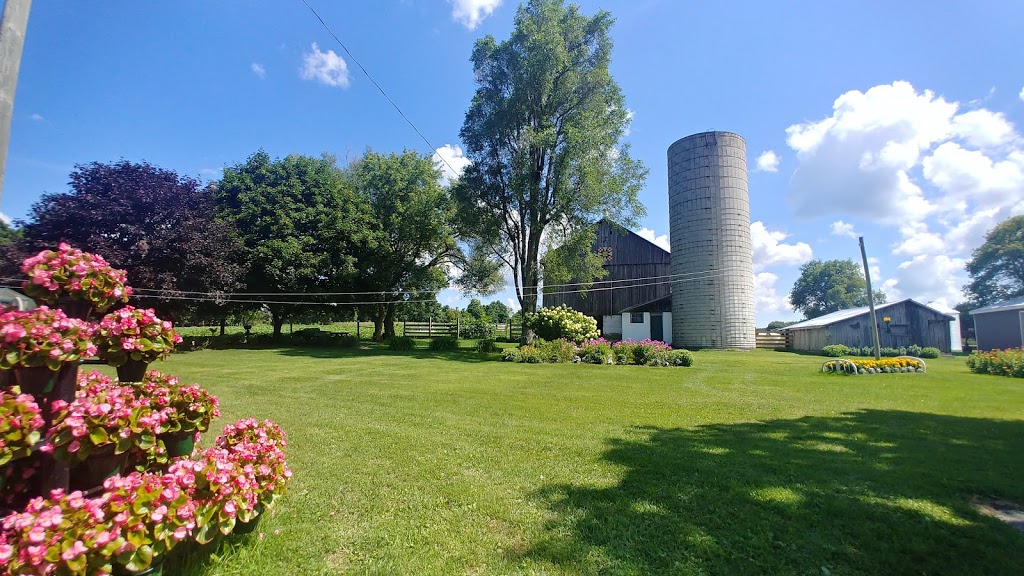 Browns Farm | *** Corn available at farm in Season Check farm Facebook Page for Corn availability****, 1809 Penetanguishene Rd, Barrie, ON L4M 4Y8, Canada | Phone: (705) 726-8017