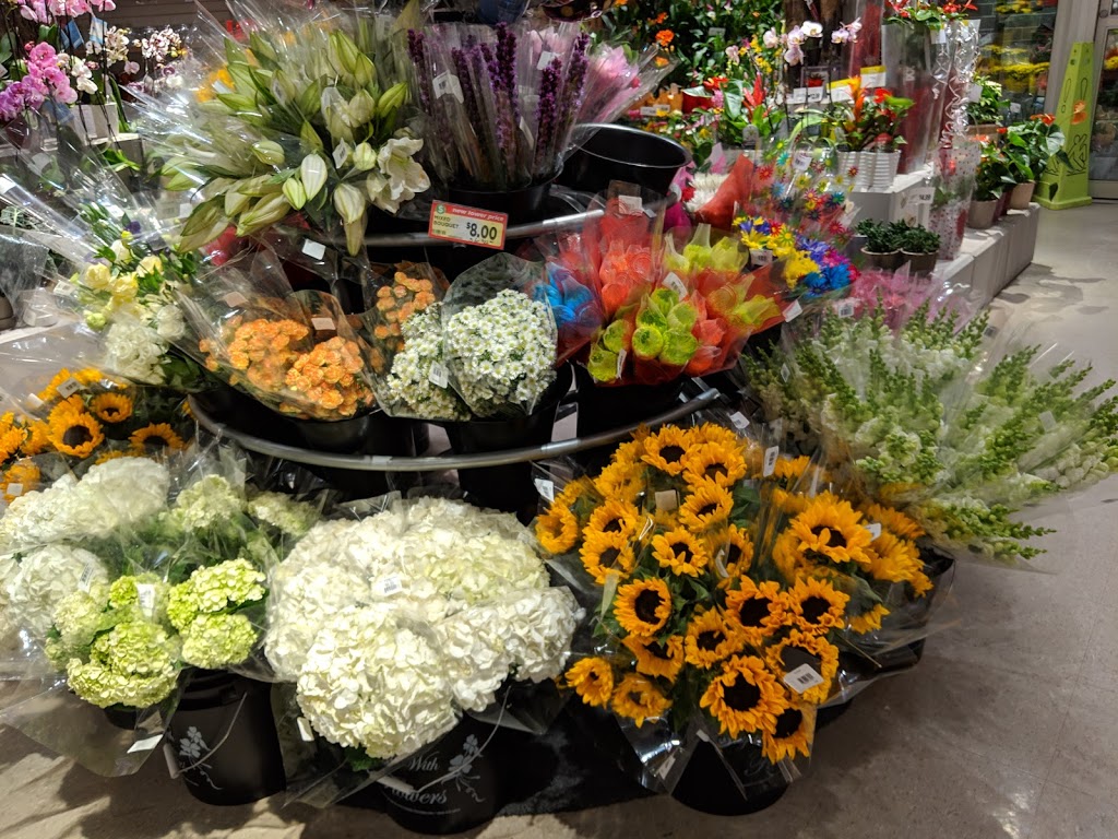 Upper Oakville Shopping Centre | 1011 Upper Middle Rd E, Oakville, ON L6H 4L2, Canada | Phone: (905) 849-4722