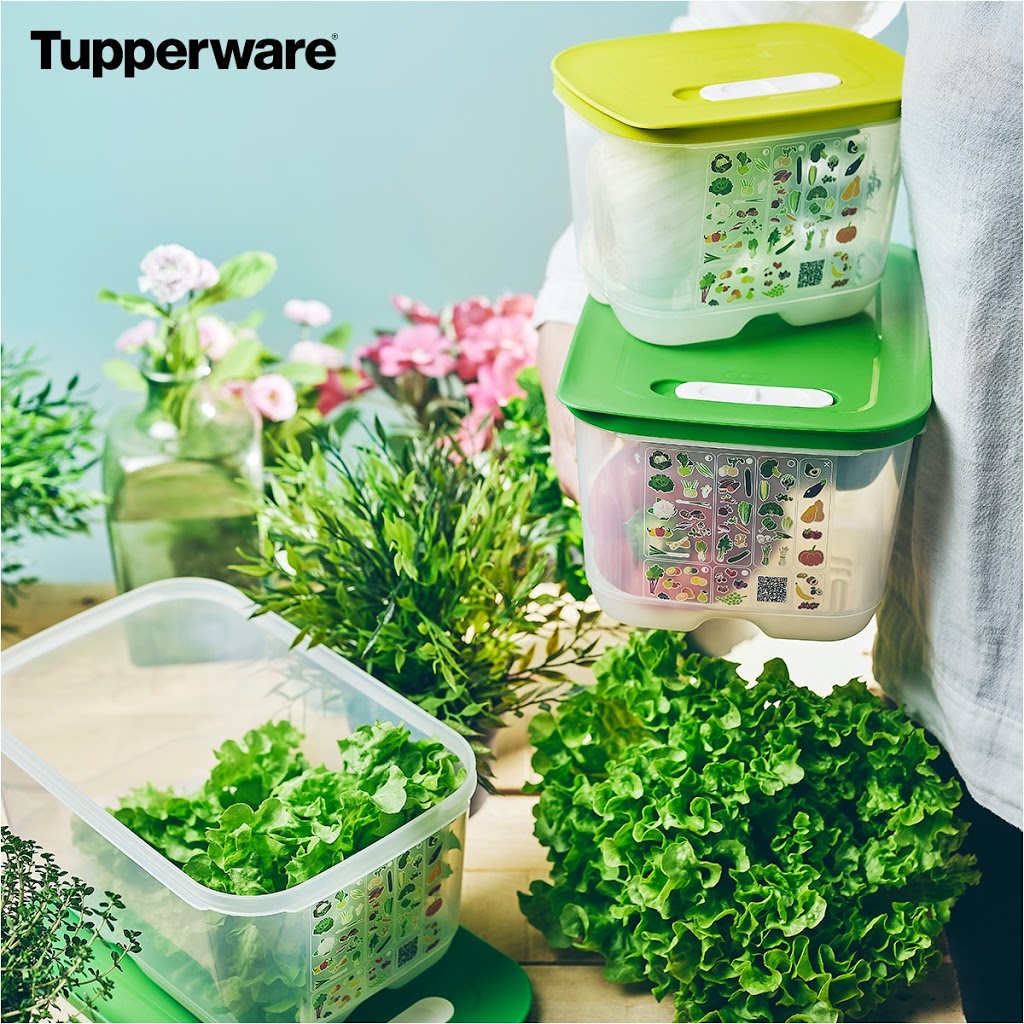 Caroline Croteau Conseillère Tupperware | 177 Rue Principale, Saint-Apollinaire, QC G0S 2E0, Canada | Phone: (819) 479-9561