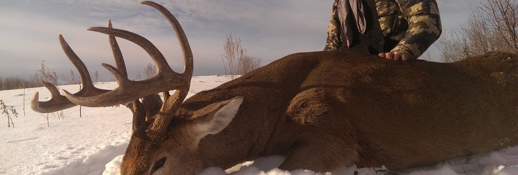 Whitetail Trophy Hunts | RR1, Bluffton, AB T0C 0M0, Canada | Phone: (315) 636-5277