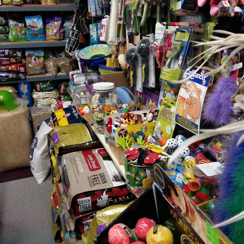 Pet Tyme-Animal Krackers! | 12281 ON-35, Minden, ON K0M 2K0, Canada | Phone: (705) 286-4893