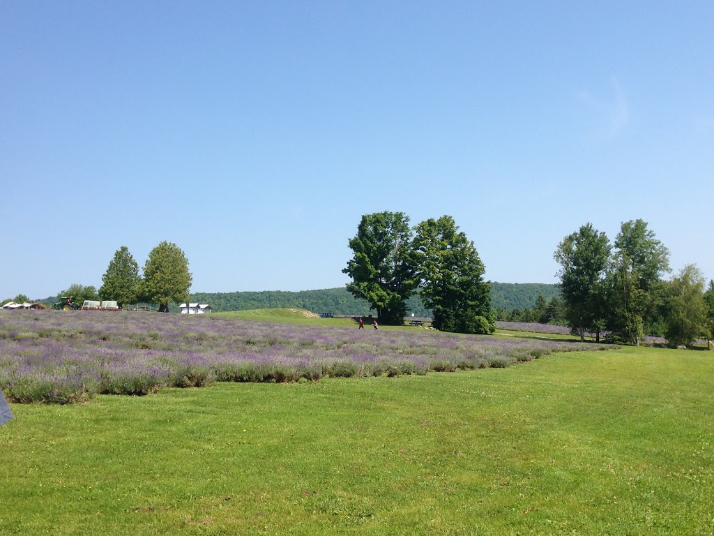 Bleu Lavande | 5857-7581 Chemin Griffin, Ogden, QC J0B, Canada