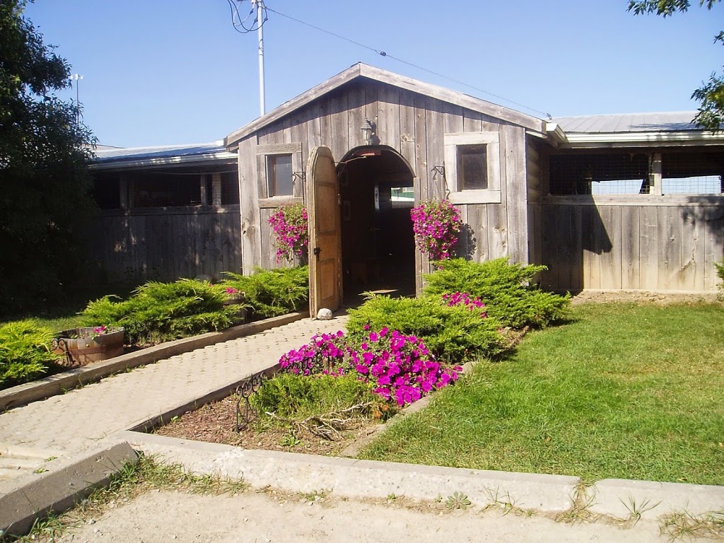 Meadowlarke Stables | 2800 Meadowpine Blvd, Mississauga, ON L5N 8C7, Canada | Phone: (905) 821-0419