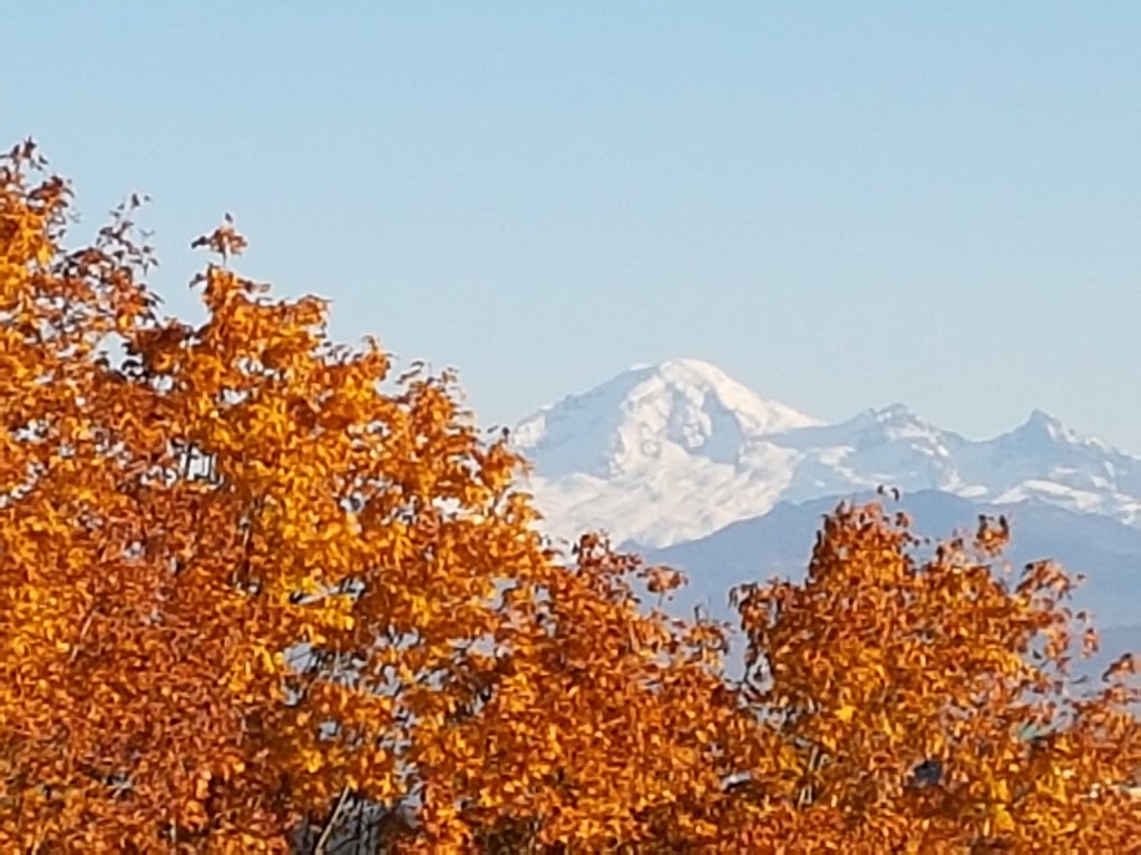 Southern Park | Abbotsford, BC V2T 5H7, Canada