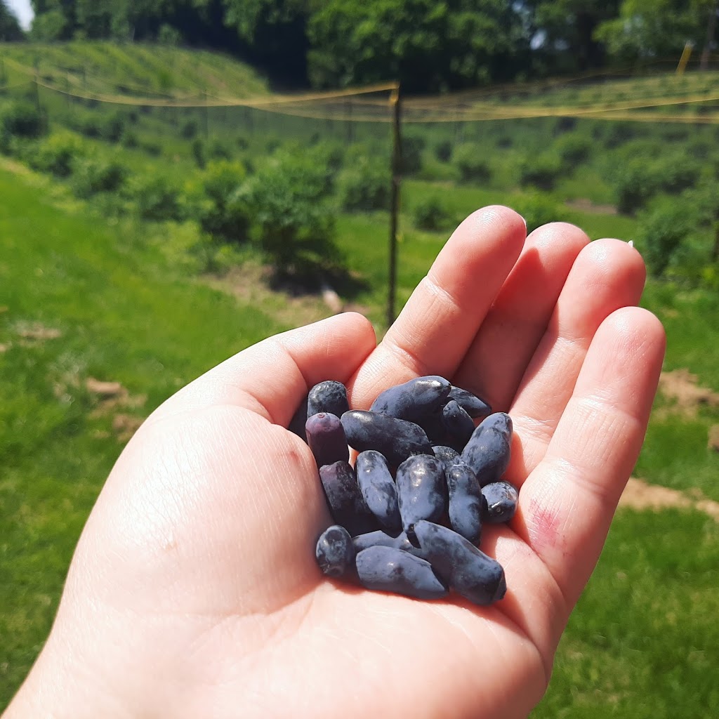 Boyter Family Farm | 2905 Holland Rd, Fonthill, ON L0S 1E6, Canada | Phone: (289) 686-3573