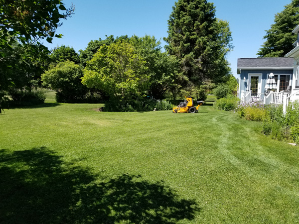 Estate Lawn Care | 10 Gord Matthews Way, Uxbridge, ON L9P 0E9, Canada | Phone: (416) 786-7699