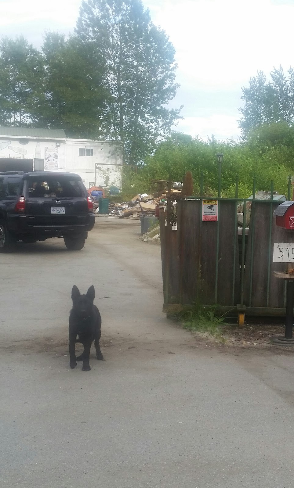 Baykey’s Mini-Bins | 5954 River Rd, Delta, BC V4K 1S9, Canada | Phone: (604) 908-2467