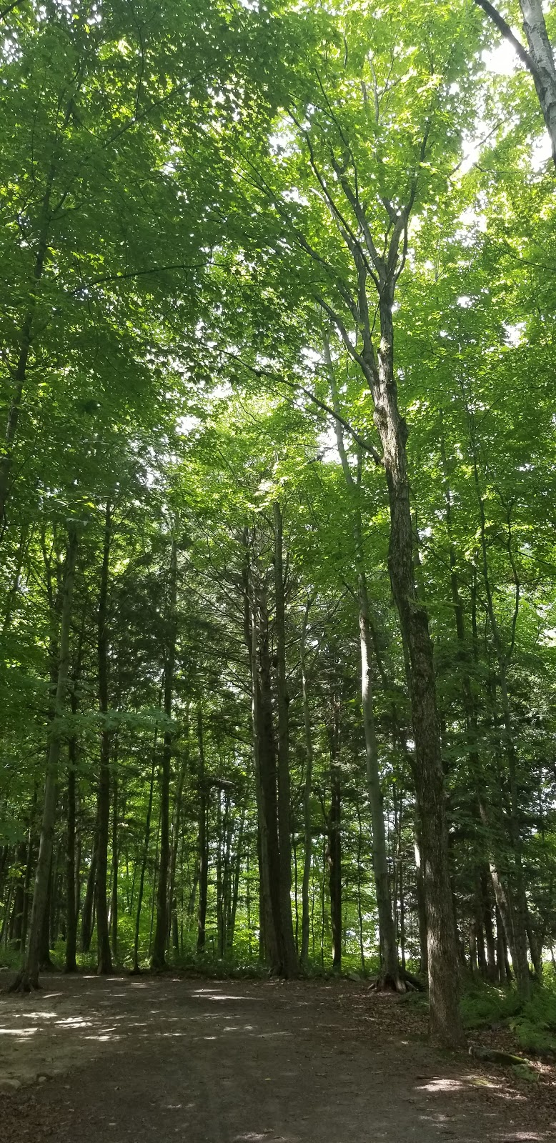 Parc du Marbre | Rue du Taillandier, Mirabel, QC J7N 3K4, Canada | Phone: (450) 475-8653