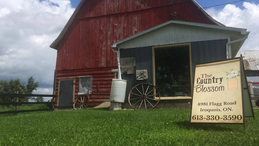 The Country Blossom | 4981 Flagg Rd, Iroquois, ON K0E 1K0, Canada | Phone: (613) 330-3590