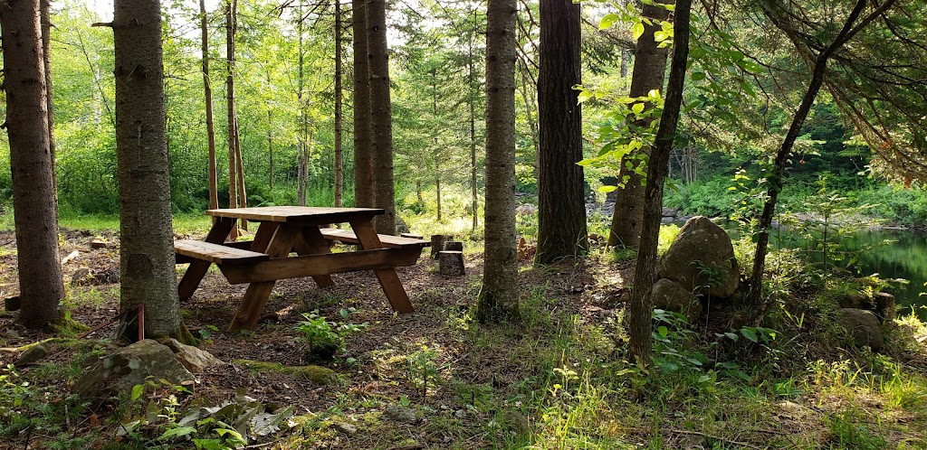 Forest bed and breakfast with river rest area | 6289 Rte Principale, Wentworth-Nord, QC J0T 1Y0, Canada | Phone: (647) 870-4400