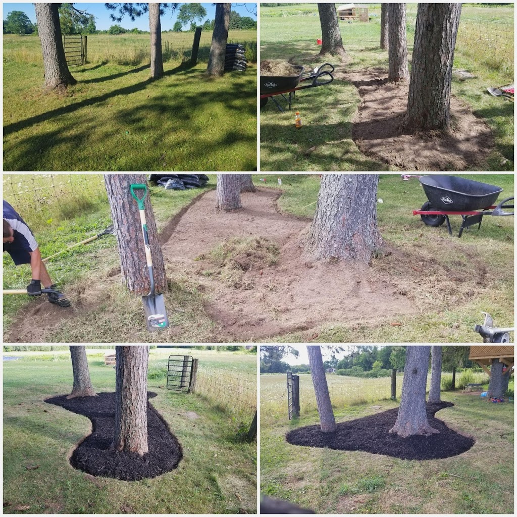 BZ Lawn Care & Property Maintenance | 259 James St E, Orillia, ON L3V 1M3, Canada | Phone: (705) 345-4454