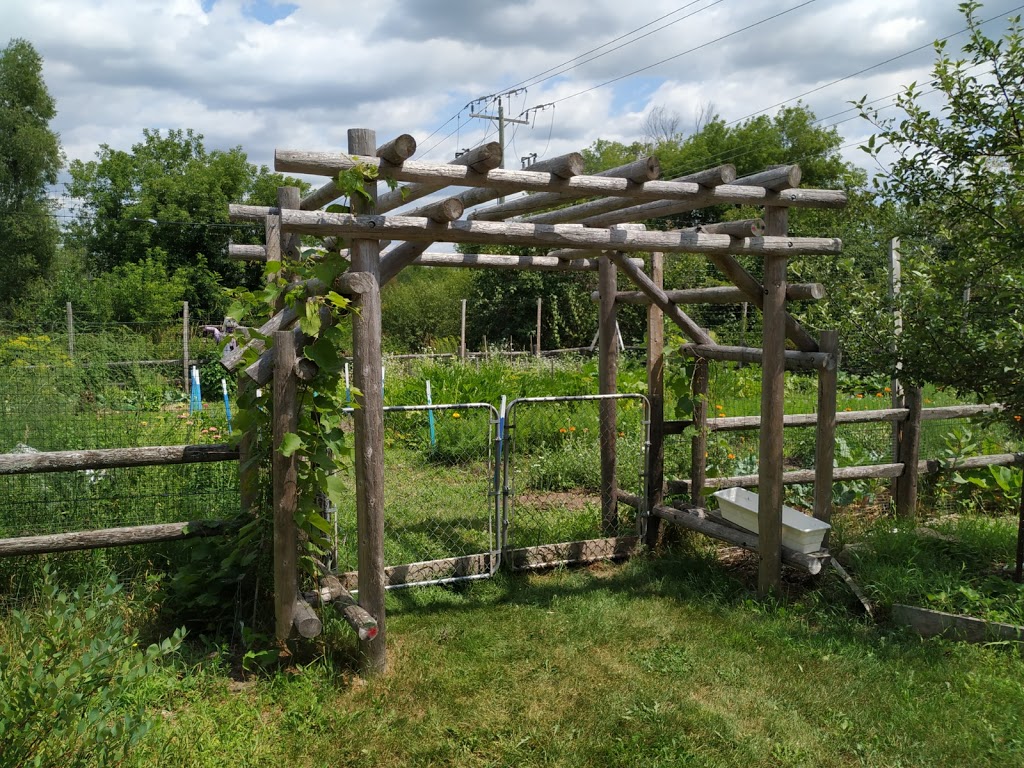 Last Duel Park | 22 Craig St, Perth, ON K7H 1X8, Canada | Phone: (613) 812-0020