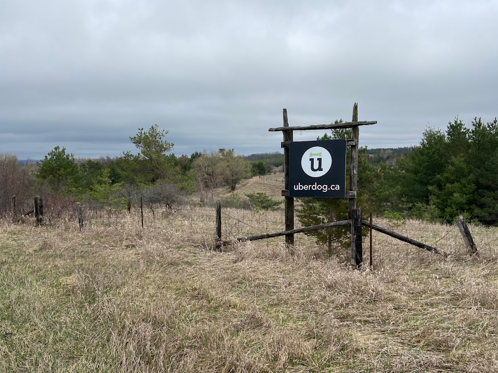 Uberdog Ranch | 155 N Bethesda Rd RR #1, Baltimore, ON K0K 1C0, Canada | Phone: (416) 421-2040