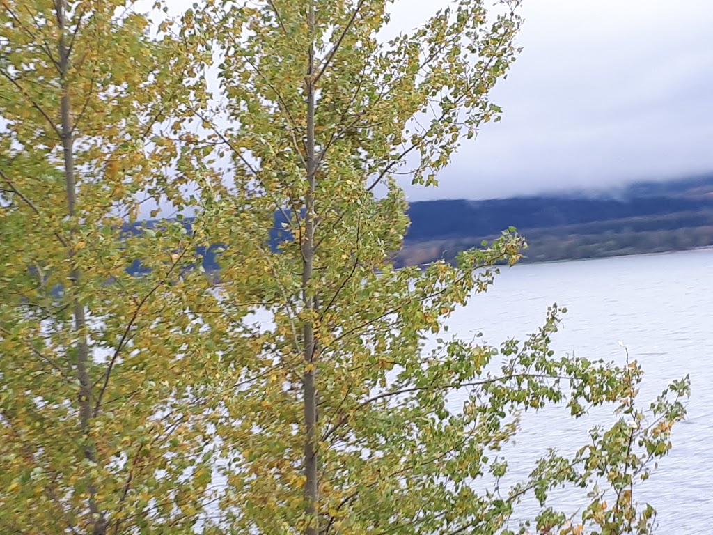Pierres Point Campground | 2569 Campground Rd, Salmon Arm, BC V1E 3A2, Canada | Phone: (250) 253-1340