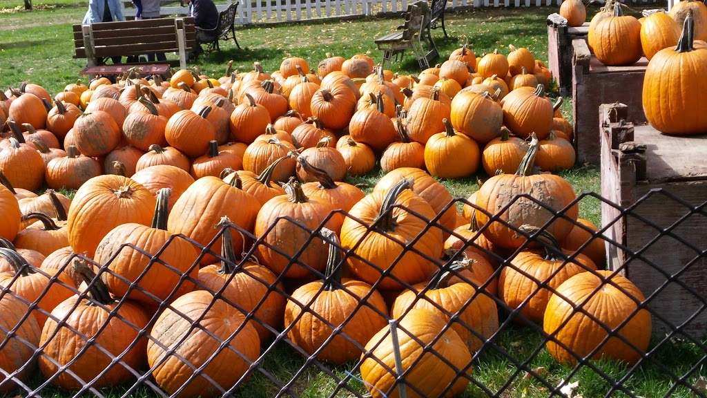 Myers Apple Farm | 37 Hamilton Regional Rd 52, Hamilton, ON L0R, Canada | Phone: (905) 627-0420