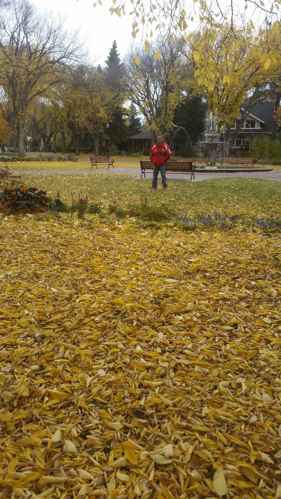 Alexander Circle | Alexander Cir NW, Edmonton, AB T5N, Canada